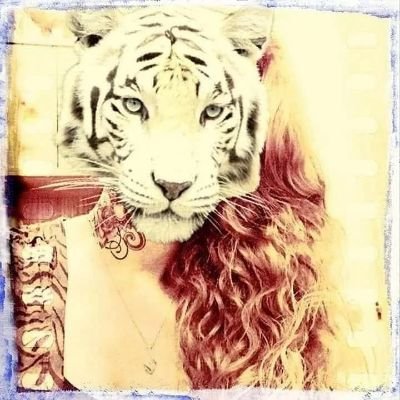 redmenace26's profile picture. Lioness