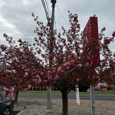 Faith405602501's profile picture. I love fitness, helping , snoopy