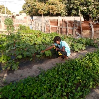 barry48936645's profile picture. I like to be with people