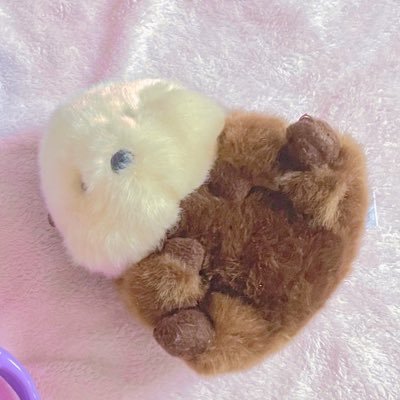 🤍 | sfw | agere | big age: 18 | little age: 1~4 | 🍓🧸 🌷: Regressed ⭐️: Big | Sibbie: @2000sbunny
