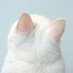 tei (@yoncartsu) Twitter profile photo tei (@yoncartsu) Twitter profile photo
