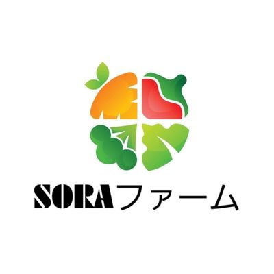 都内で有機野菜を栽培してます!栽培期間中農薬不使用、化学肥料不使用。安心、安全な新鮮野菜を全国へお届け致します!