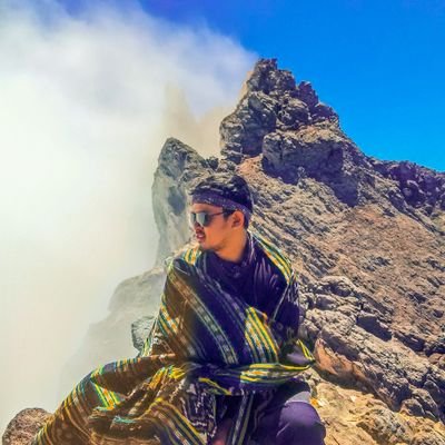 abeesukarna's profile picture. a dendrophile with acrophobia