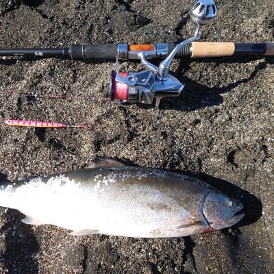 北海道で釣りしてます🎣

仲良くしてください😁
楽しくフィッシング❗
陽気なアングラー✌️
※釣り専用アカウント