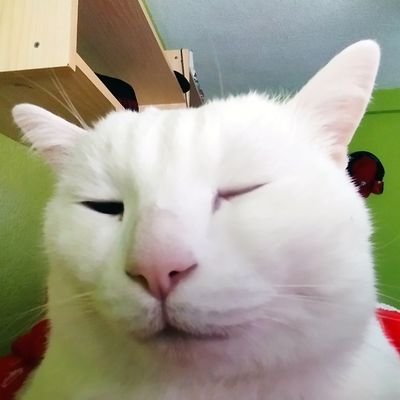 FreeLaRana's profile picture. 🧑‍💻