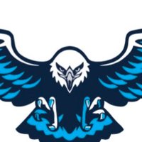 Bethel Academy (Manassas) (@bca_eaglesbb) 's Twitter Profile