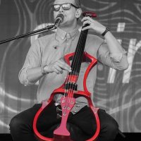 Stringfever (@stringfever) 's Twitter Profile