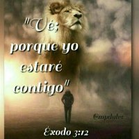 Gladys Alba (@gladys67010357) 's Twitter Profile