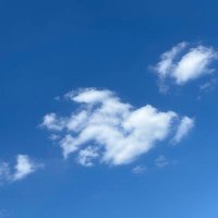 BitRabbit (@dongwen_don) 's Twitter Profile