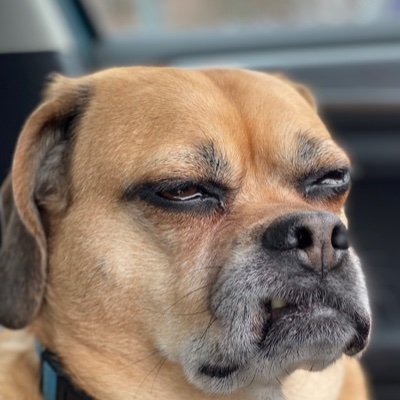 bitchmakescake's profile picture. Pastry chef. Coffee addict.  Art lover. Storyteller.