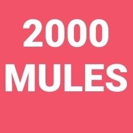 🇺🇸 #2000MULES - #ELECTIONFRAUD ⏩ #J6