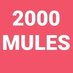 🇺🇸 #2000MULES - #ELECTIONFRAUD ⏩ #J6 Profile picture