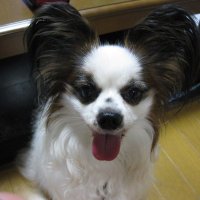 リトルジョン (@little_john39) Twitter profile photo