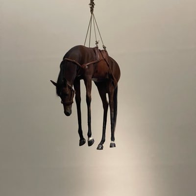 randy37202976's profile picture. 