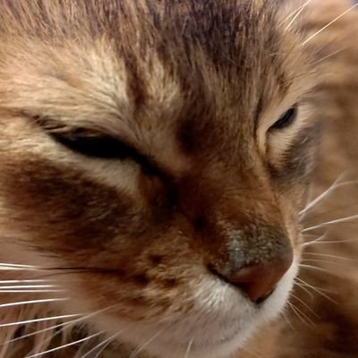 teepucciwes's profile picture. フリーランスのCGクリエイター