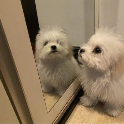 • • • ۫ ָ ֙⋆☁︎︎ bns acc for #NCT #WAYV & #SEVENTEEN🛒 #천러, #해찬 & #마그 collector | #danibentables | #dani_proofss | sold = 🗑️ |‼️READ CARRD BEFORE BUYING‼️