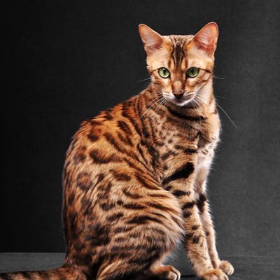 entrancememoryv's profile picture. 仕事は本業・副業とセブン関連の仕事をしてます😊本業は、物流センターで仕分け・出荷作業(出荷前の商品をドライバーさんがトラックに積み込みやすいように各コース事に並べてます。)副業は、セブンの店舗で週1ですがバイトしてます(*^^*)セブン関連のお仕事なされてる方と繋がりが持てたらいいなぁと思っています。