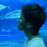 たるたる (@wataru88755203) 's Twitter Profile