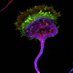 Abhijeet Joshi (@joshineurolab) Twitter profile photo Abhijeet Joshi (@joshineurolab) Twitter profile photo