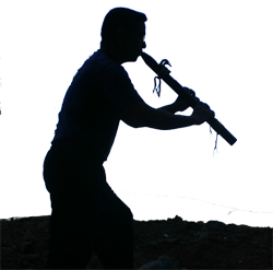 wcsanchez's profile picture. musician, composer, computer technician, gardener, sportsman, avid reader, movie goer, likes quiet time also.