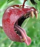 MichTeacher's profile picture. I teach. I inform. I opine. And I'm usually right.