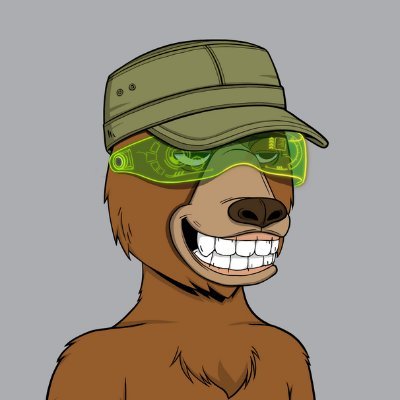 Bear collector