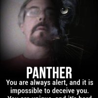 ProudDeplorable73 (@pdeplorable73) 's Twitter Profile