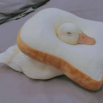 Mimik_ssb's profile picture. 17 NOLA Roy/Hero Player