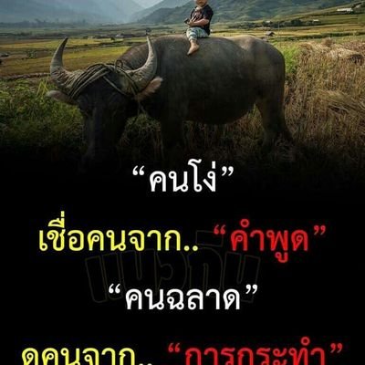 vCScfRVGTQCpCeT's profile picture. ไบรุก