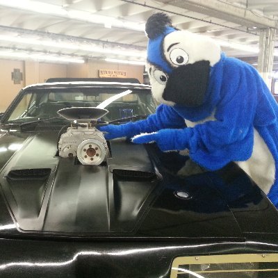 GilmoreLion's profile picture. Professional character performer and nice guy. Car fanatic and maker of mascot costumes.