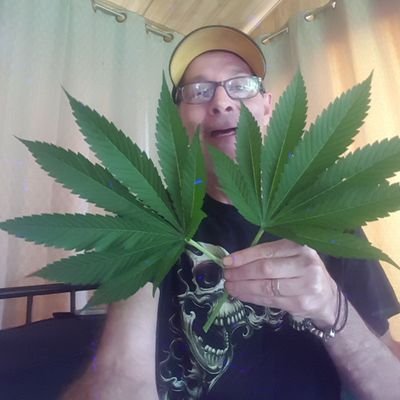 Grower & Smoker of Dank Weedz 😜Crypto Holder And All Around Cool Canuk 😎  Check out 👉My Grows 
https://t.co/LLeL1ayuP4