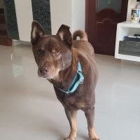 CF CryptoTech (@cfhau1) 's Twitter Profile