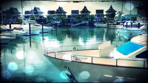 Phuketyachting's profile picture. 