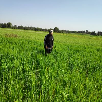 ahmedG1703's profile picture. 