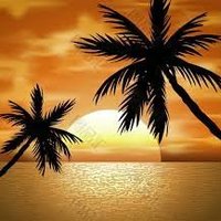 Charlie ❤️ Memecoin (@polite_charlie4) 's Twitter Profile