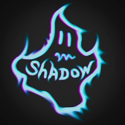 S.H.A.D.O.W_Workshop Profile