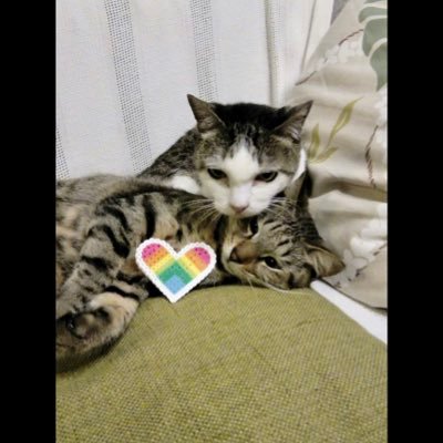 ukichan93nさんのプロフィール画像