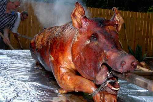 Borachobeans's profile picture. Pro Cooker, Chilada extraordinaire