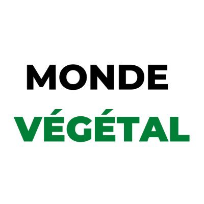 VegetalMonde Profile Picture