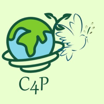 Empowering youngsters and adolescents to
introduce peacebuilding strategies in South Asia, an
initiative towards a more sustainable existence!