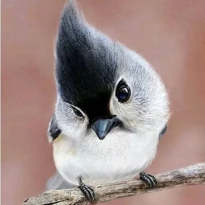 fatTitMouse's profile picture. i believe in bimbo supremacy, plastic is fantastic
profile private because of smut stuff, i dont make the rules 🤷‍♂️