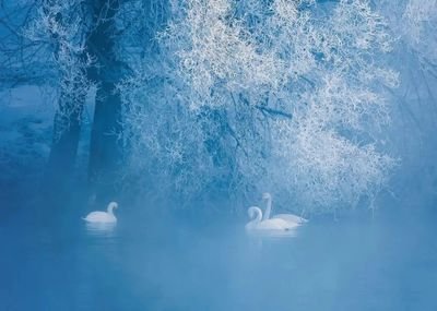 szq16071408's profile picture. 