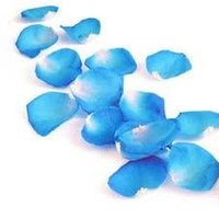 bluepetals (@bluepetal0) 's Twitter Profile Photo bluepetals (@bluepetal0) 's Twitter Profile Photo