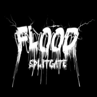Splitgate Team // Open the floodgates 🦟