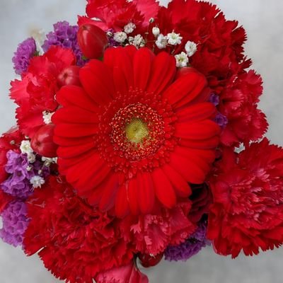 M54FaX5VeFa03NJ's profile picture. No Hate No War🕊