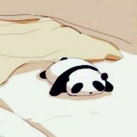 Pysio (@pysio20) 's Twitter Profile