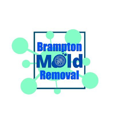 We are certified mold removal and remediation experts.