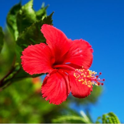 daisuke_fx_'s profile picture. 色々と勉強させてください。