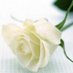 สวยนะ (@swyna161) Twitter profile photo สวยนะ (@swyna161) Twitter profile photo