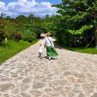 みーみー (@egao___gohan) 's Twitter Profile